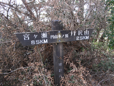 20190108hike (322)